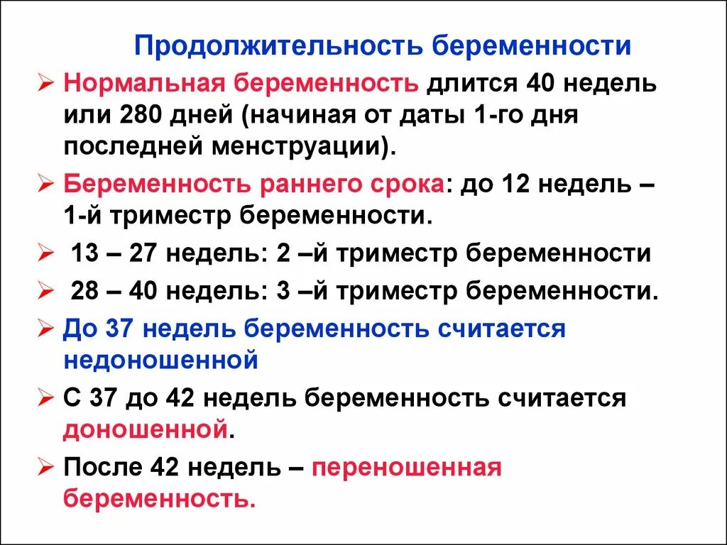 Течение беременности у человека месяцы