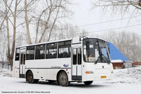 Автобус двуреченск