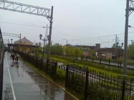 Малай вишер