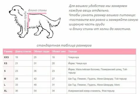 Как узнать размер собаки для одежды