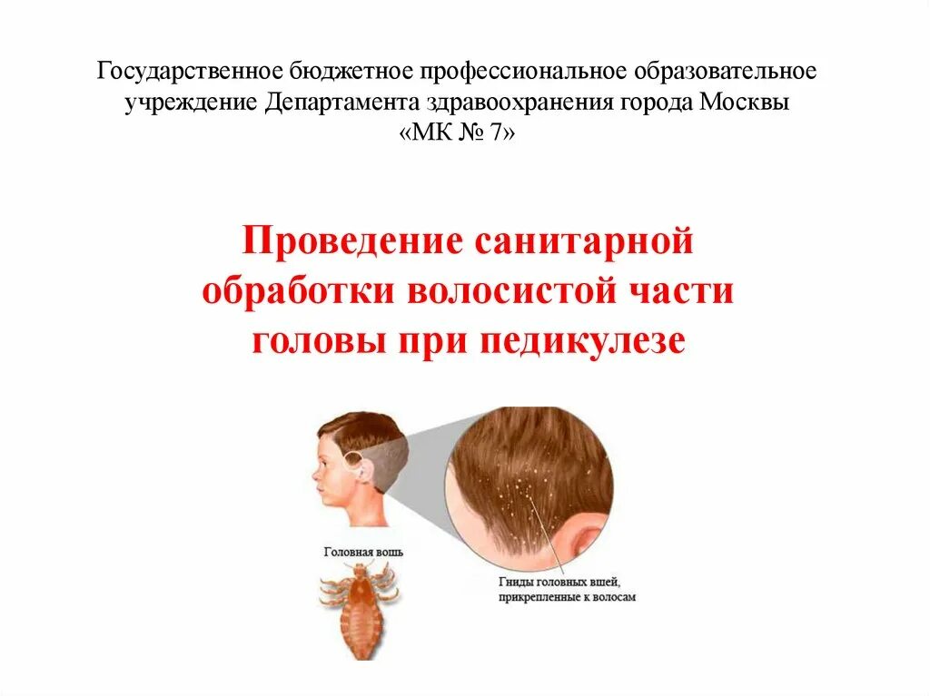 Педикулез карта. Обработка волосистой части головы при педикулезе. Обработка волосистой части головы при выявлении педикулеза. Педикулез алгоритм. Обработка волосистой части головы пациента при педикулезе.