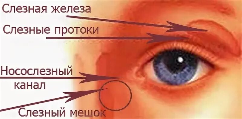 Массаж глаз слезного канала. Зондирование носослезного канала. Зондирование слезного канала у детей. Закупорка слезного канала у ребенка. Глазной канал у младенцев.