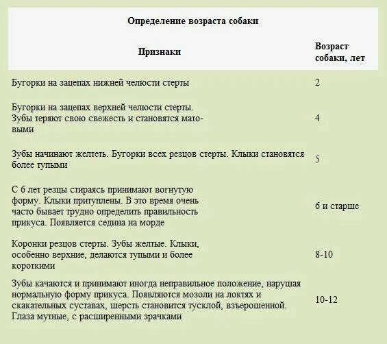 Как определить по возрасту