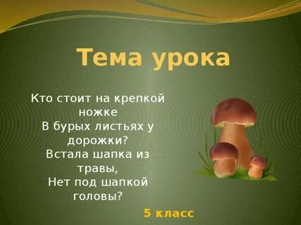Стоял на крепкой ножке теперь лежит