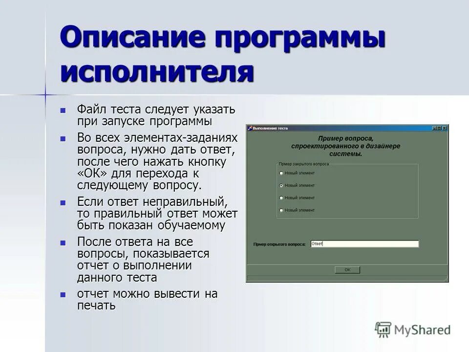 L данные описывают. Описание программы. Формат описания программы. Описание программы пример. Описание программного обеспечения.