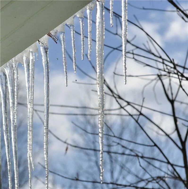Капель копейск. Весенняя капель. сосульки капель. весенние сосульки. длинные сосульки.