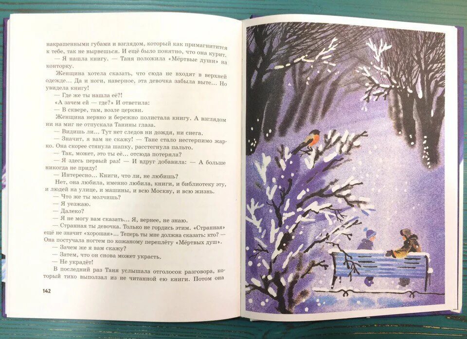 Иваново зимняя девочка. Иванов зимняя девочка книга. зимняя девочка с.а иванов иллюстрации.