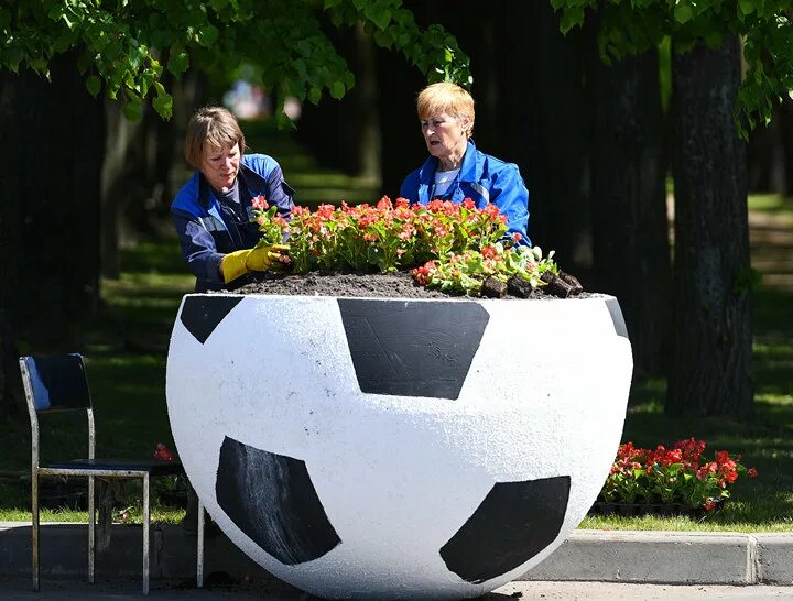 Цветники в городе. Клумба спортивная. Малые архитектурные формы клумбы. Клумба спортивная. Макет клумбы с цветами.