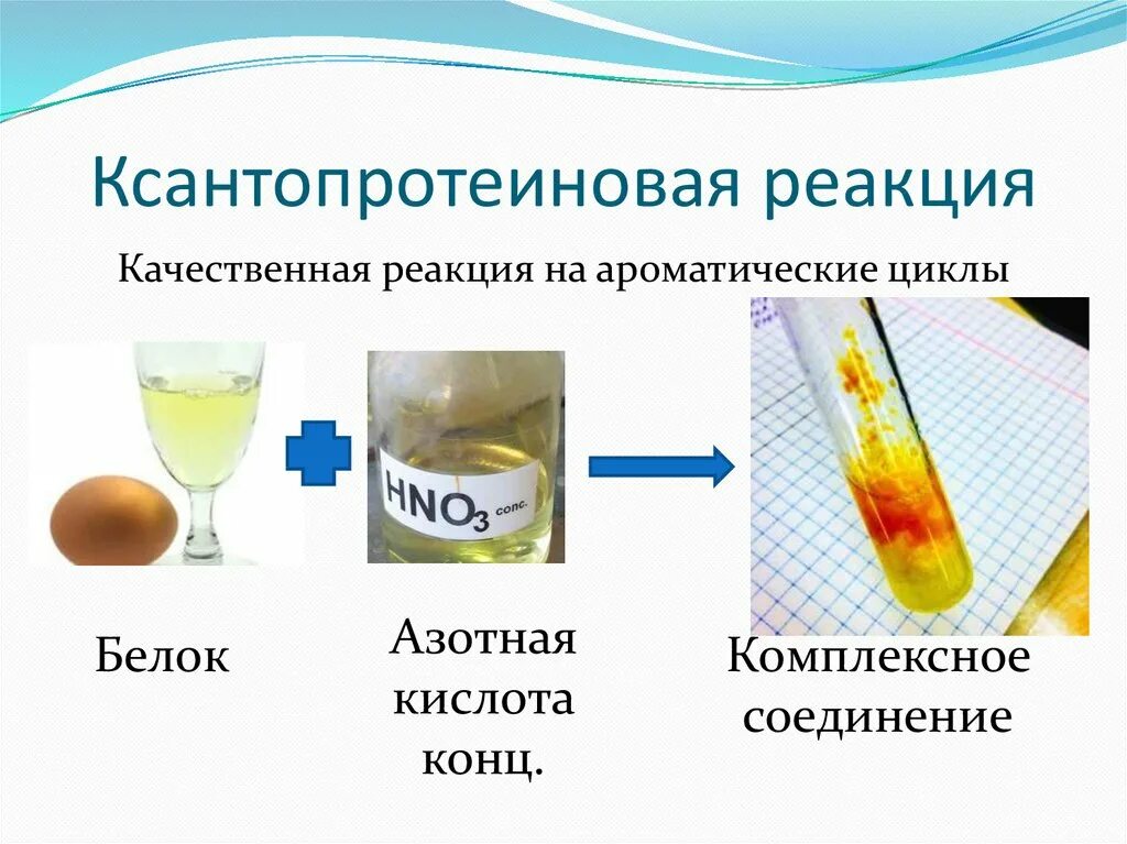 Белок концентрированная азотная кислота. Ксантопротеиновая реакция обнаружения ароматических аминокислот. Качественная реакция на белок ксантопротеиновая. Ксантопротеиновая кислота качественная реакция. К Санта протеиновая реакция белков.