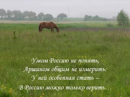 Мы часто вас не понимаем