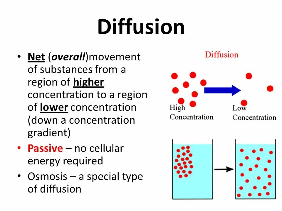 Диффузион. Diffusion Definition. Diffusion rate. What is Osmosis.