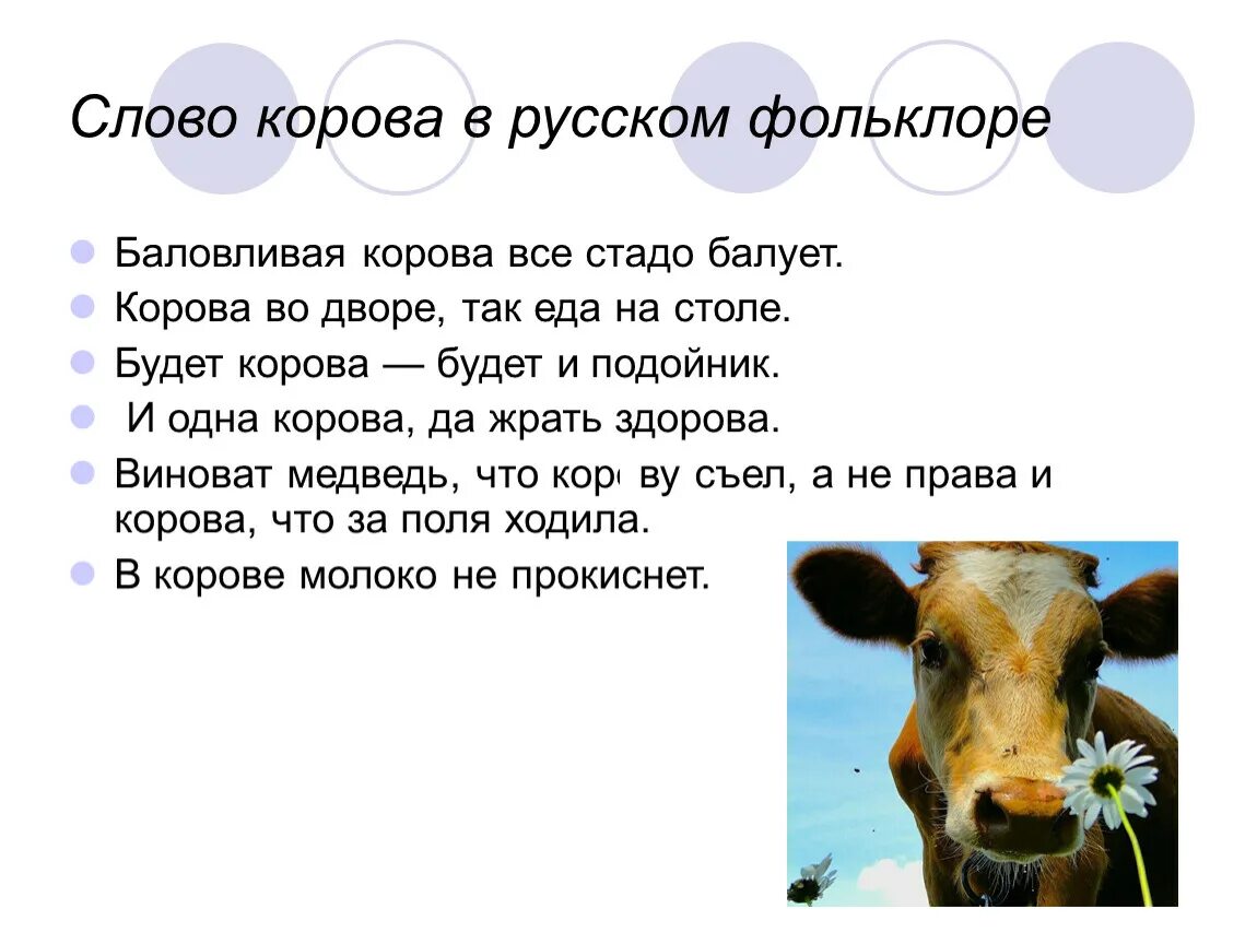 Корова подавилась слово появилось продолжение. Продолжение про корову. Первое слово съела корова а корова. Корова подавилась продолжение. Пословицы и поговорки про корову.