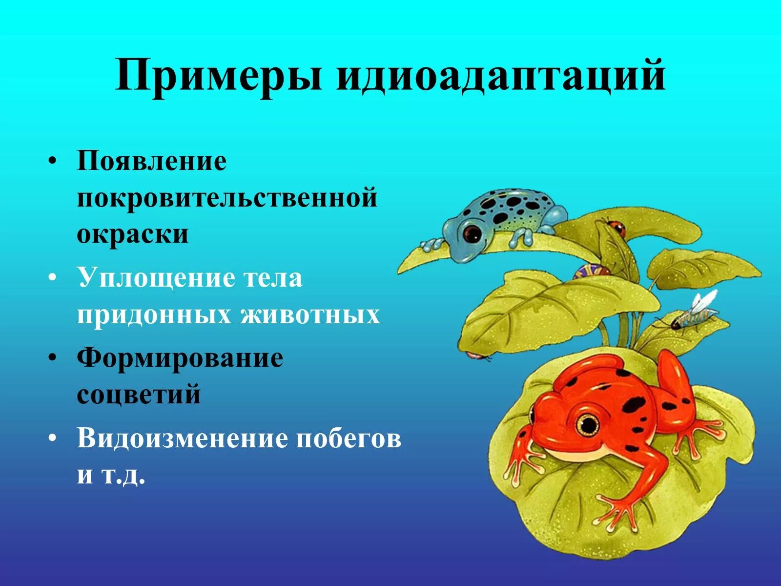 Примеры ароморфоза и дегенерации. Идиоадаптация. Идиоадаптация примеры. Идиоадаптация у животных. Идиоадаптация у растений и животных.