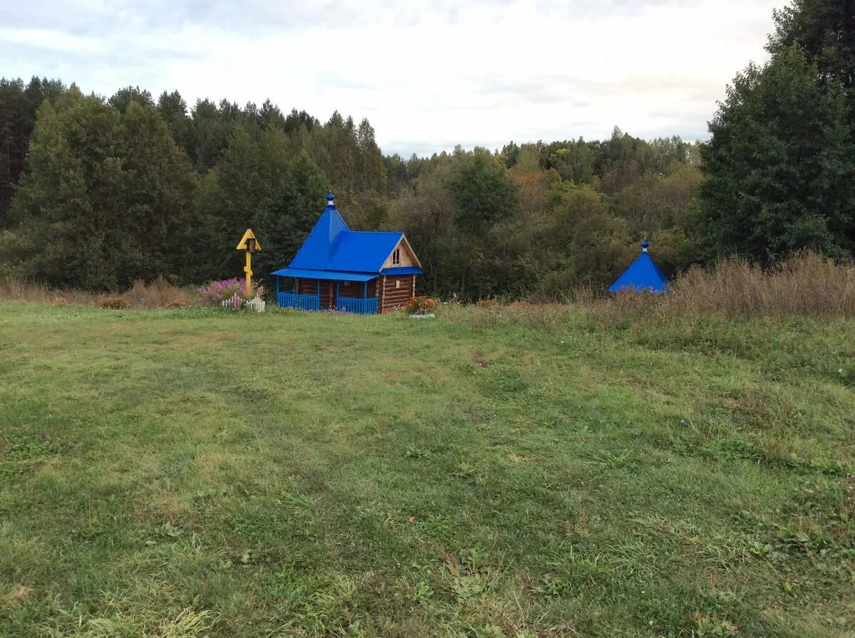 Родник рыбное. Иванырс. Село Иванырс. Село Иванырс Лунинского района Пензенской области. Родники Лунинский район.