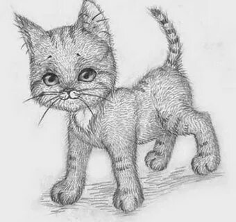 Котик для рисования