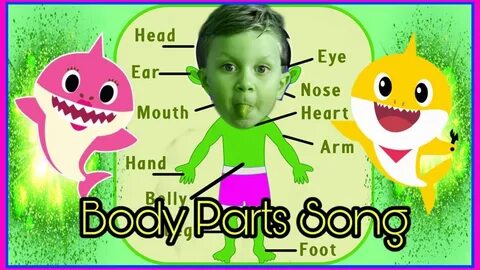 Песня my body your body