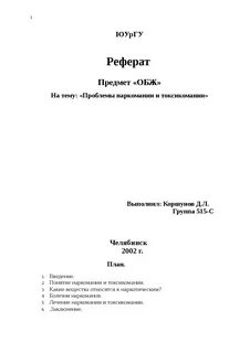 Образец реферата по обж