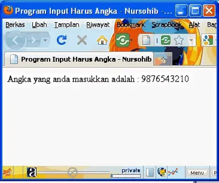 Program input. Program input
