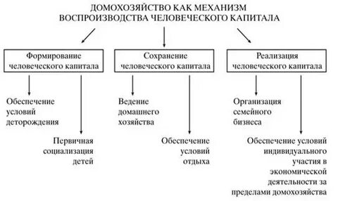 В экономической теории домохозяйства