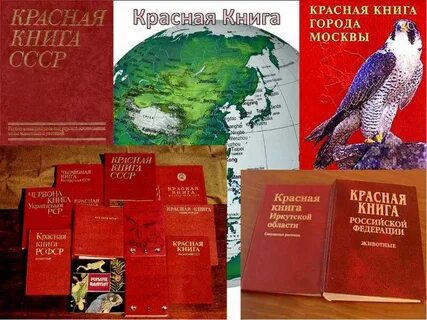 Немецкая красная книга