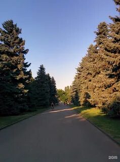 Липецкие сады