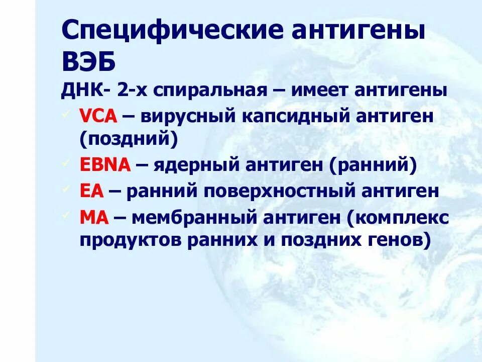 Антигены вируса Эпштейн Барра. Структура вируса Эпштейна Барра. Капсидный антиген. Капсидный антиген вируса Эпштейна-Барр что это.