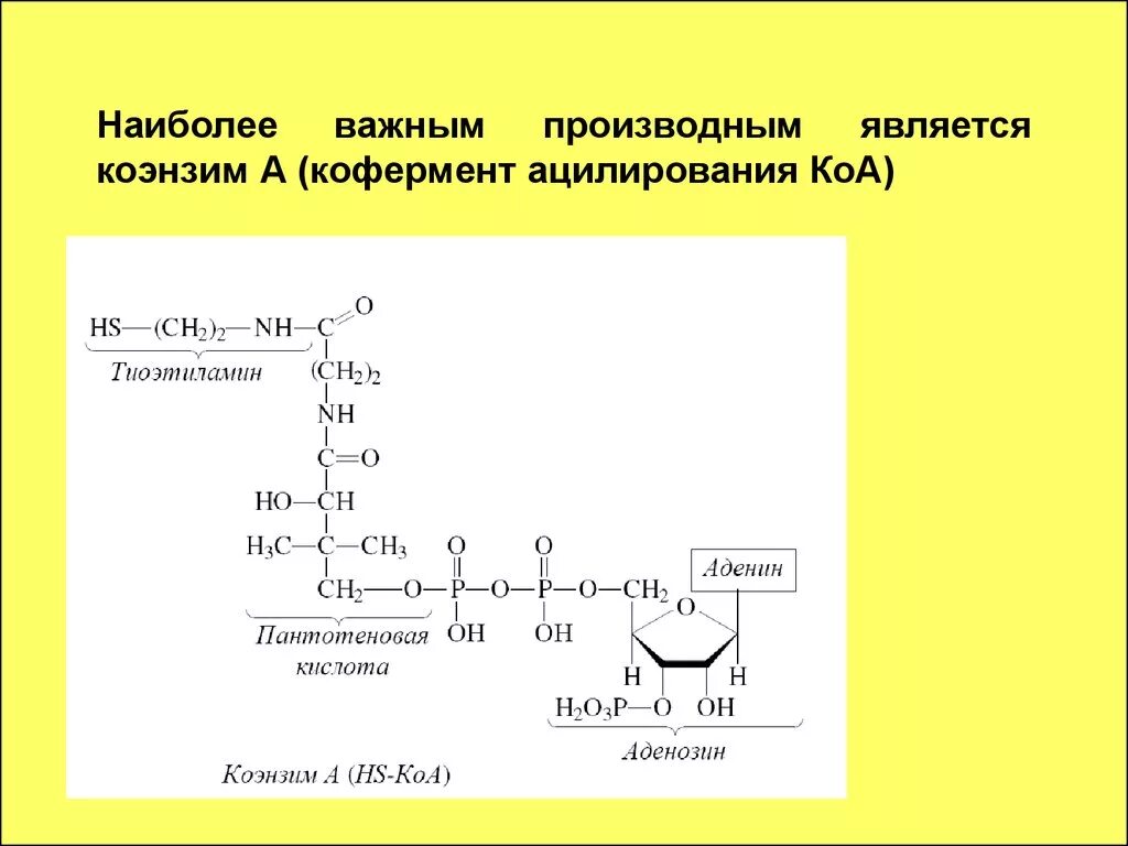 Молекула ацетил коа. HS KOA кофермент. KOA формула биохимия. КОА фермент формула. Структура ацетил коэнзим а.