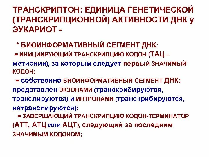 Выполняемая функция генетического аппарата. Выполняемая функция генетического аппарата