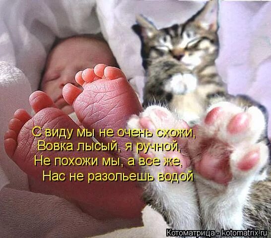 Мужичок с собачкой прикол. Это все похоже на нас. Андрюха у нас криминал по коням. Мы такие разные!. Шутки про троих детей.