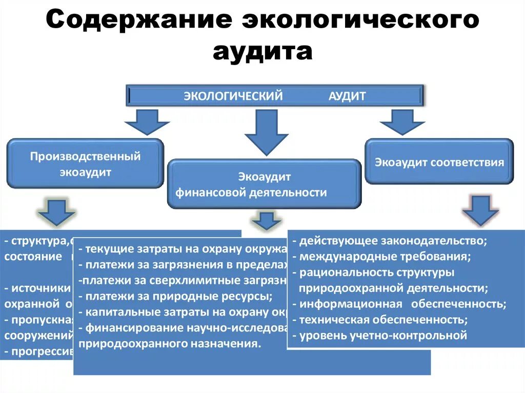 Содержание экологического аудита. Основные виды экологического аудита. Функции экологического аудита. Экологический аудит схема. Экологическое аудирование