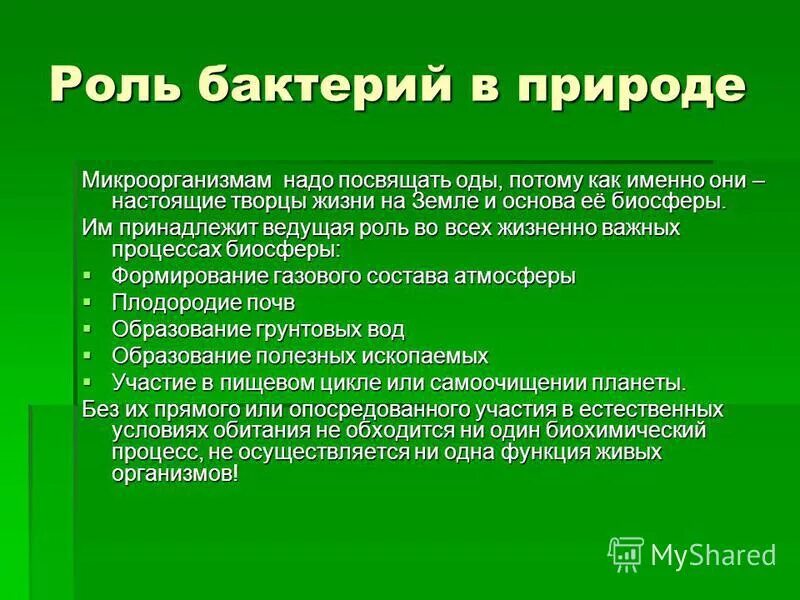 Сообщения жизнь на земле