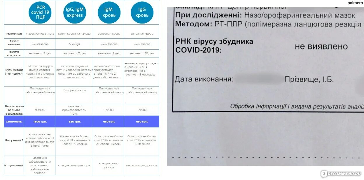 Норма ковида. ПЦР тест. Результат ПЦР теста. ПЦР тест на коронавирус. Положительный результат ПЦР на ковид.