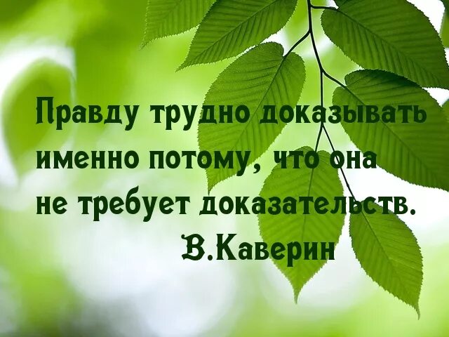 Именно доказывать. Цитаты про правду. Высказывания о правде. Изречения о правде. Правда и ложь цитаты афоризмы.