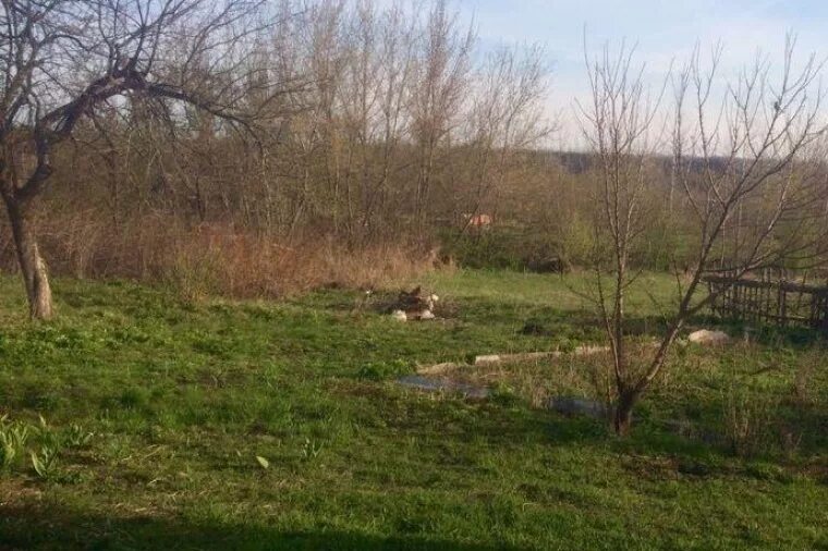 Погода в старой ведуге семилукского. Старая Ведуга. Ведуга Воронежская область. Нижняя Ведуга Семилукский район. Старая Ведуга Воронежская область Плодопитомник.