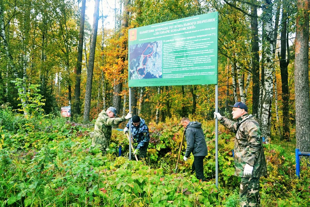 811 минприроды. Конаковский Бор в Тверской области. Территория ООПТ Тверская область. Заповедник Конаковский Бор. Лес ООПТ.