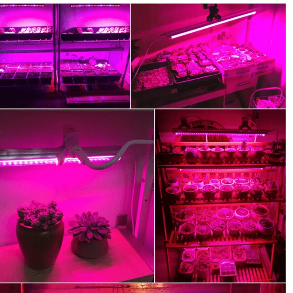 Фитолампа led Bar 15 ламп. T5 led grow Light. Фитолампа светодиодная на 220v. Plant grow Light фитолампа с 5 светильниками.