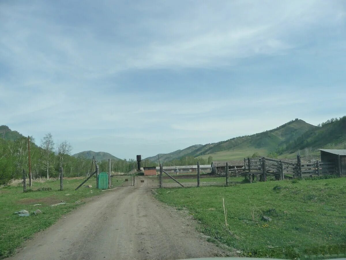 Мыюта Республика Алтай. Село Мыюта Республика Алтай. Черга горный Алтай. Черга республика алтай