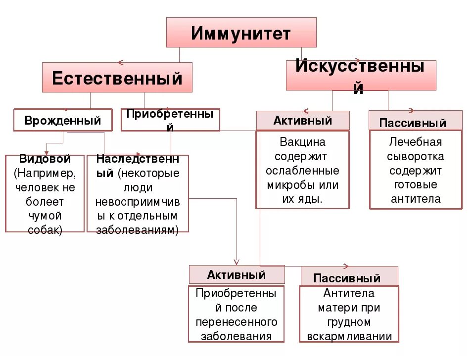 Виды иммунитета схема. Схема классификаций типов и форм иммунитета. Активный и пассивный иммунитет схема. Виды иммунитета ЕГЭ.