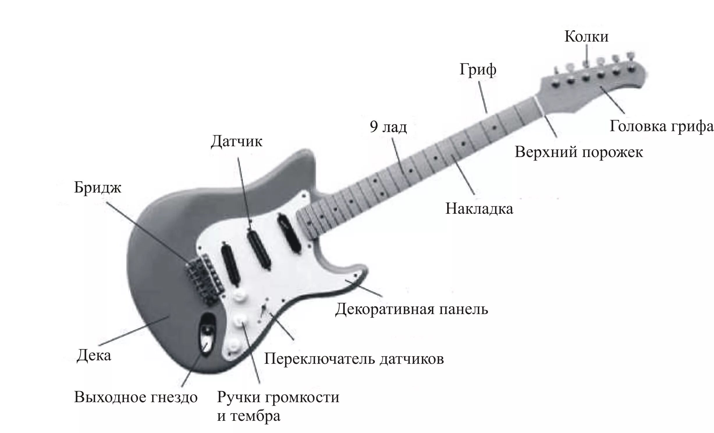 Из чего состоит гитара электро схема. Строение электро бас гитары. Строение гитары электро. Строение электрогитары стратокастер.