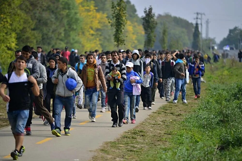 Беженцы. Миграция людей. Беженцы в Европе.