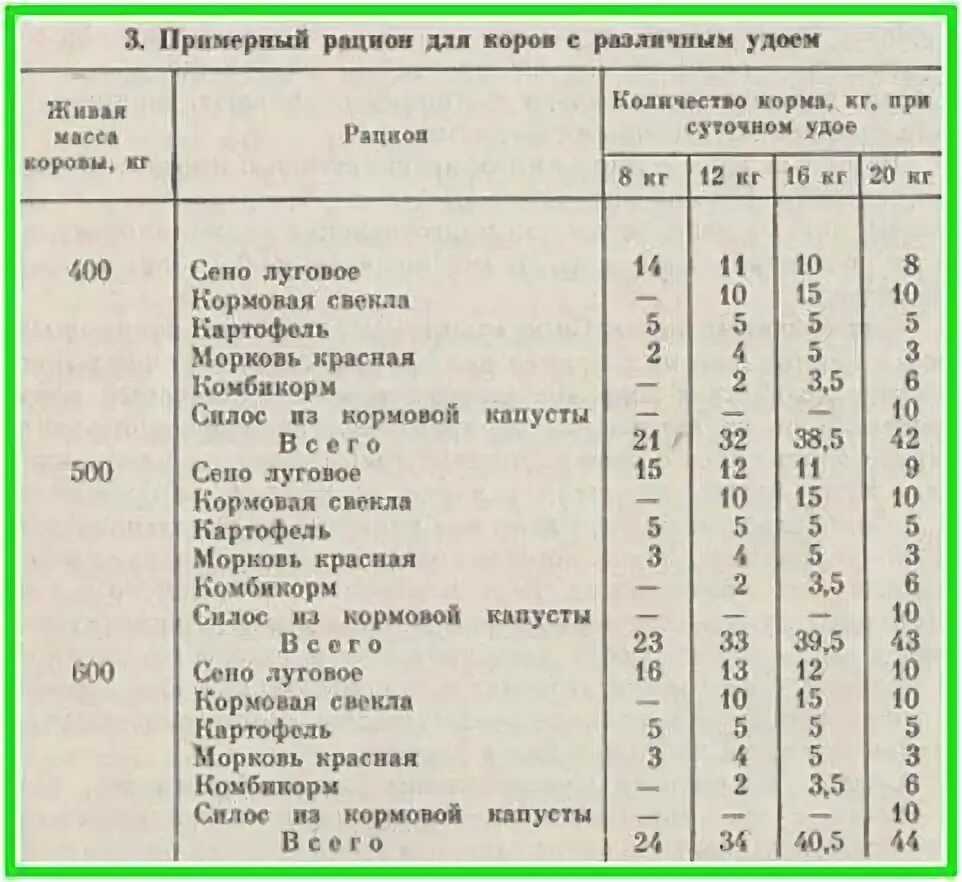 Можно давать корове сырой