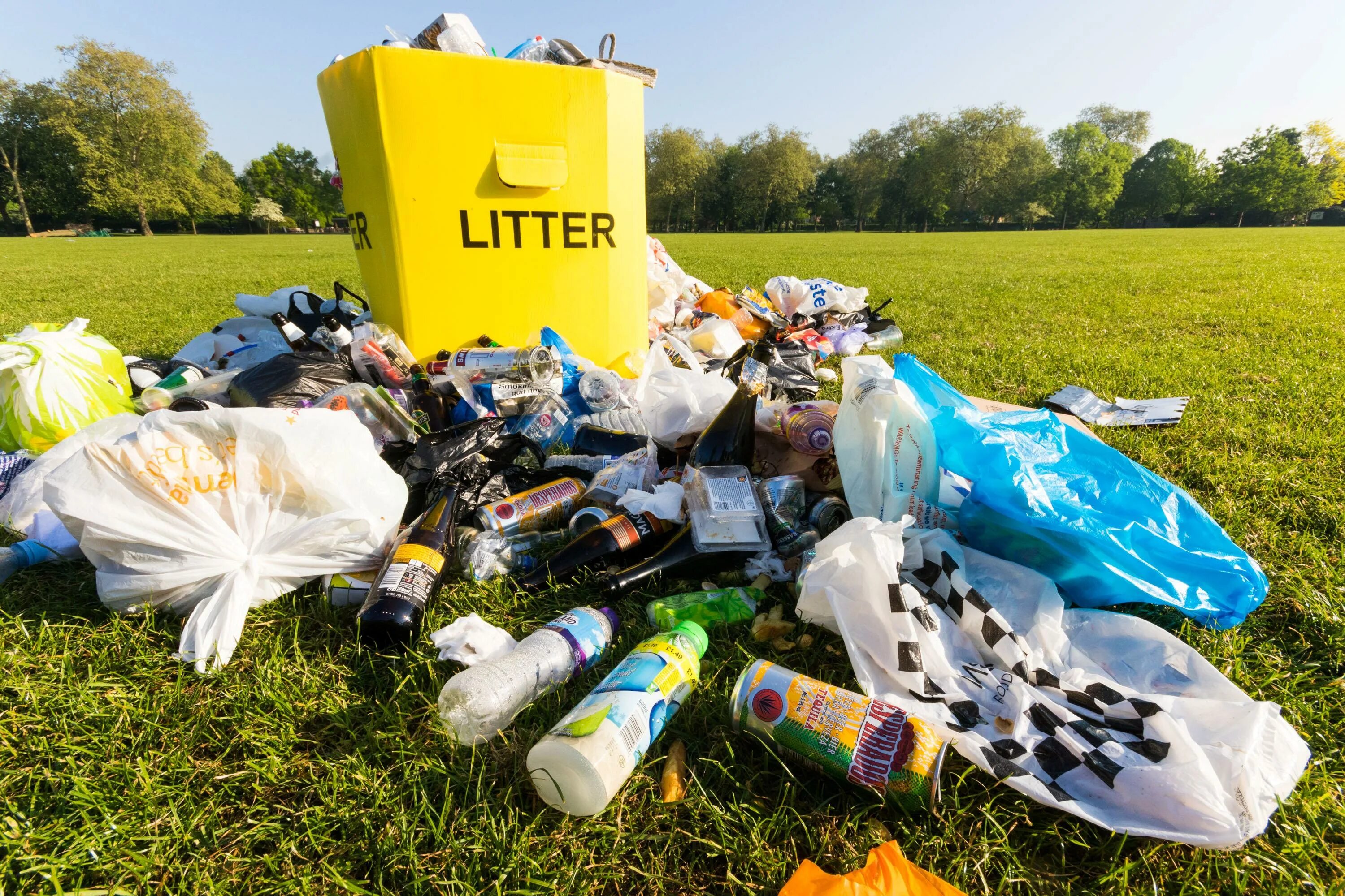 A lot of new can. Мелкий мусор. Маленький мусор. Litter. Litter rubbish.