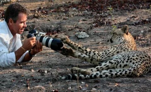 Wildlife documentary