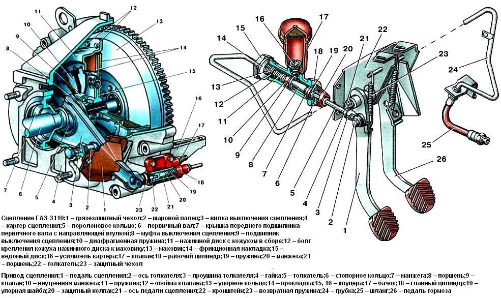 Почему сцепление в самом конце. Схема сцепления Волга 3110. Привод сцепления ГАЗ 3110 406 двигатель. Сцепление ГАЗ 3110 двигатель 402. Пружинно рычажное сцепление ГАЗ 3110.