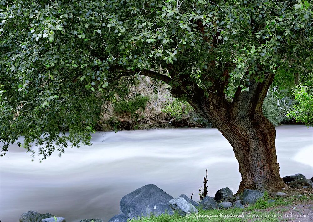 Река бур. Река бур. Река бурея. Река ак бура. Река акбура ош.