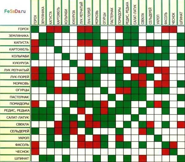 Можно ли рядом со сливой. Сочетание плодовых деревьев. Совместимые посадки овощей и фруктов. Совместимость овощей на грядке в саду. Соседство фруктов.