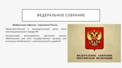 Представительная конституция в каких странах