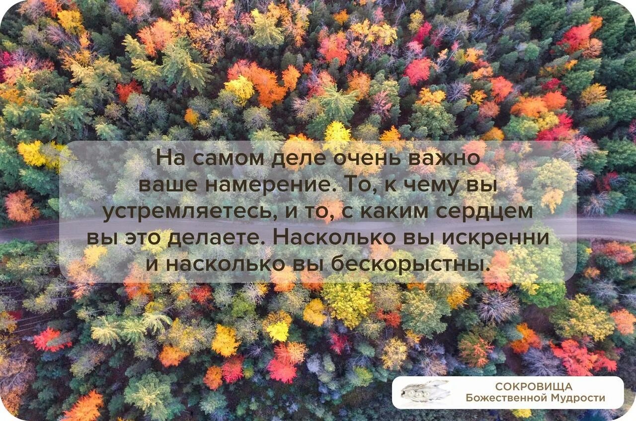 Песков бескорыстность текст. Песков бескорыстность текст