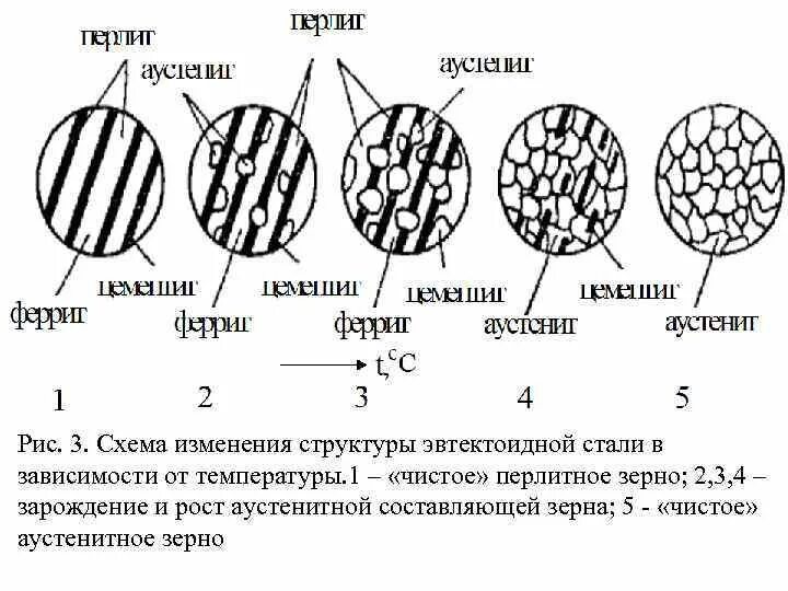 Эвтектоидная сталь структура. Схема эвтектоидного перлитного превращения. Структура сталей. Схема структуры эвтектоидной стали.