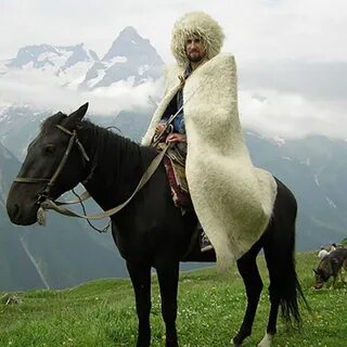 Марк Дорселдің секс фильмдері